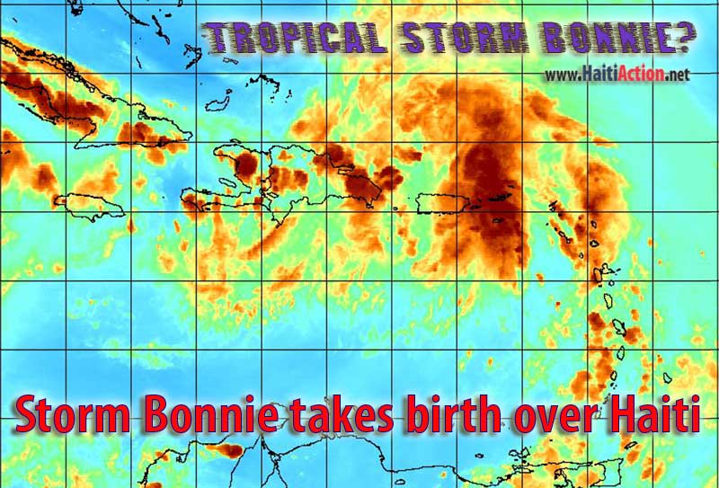 Bonnie